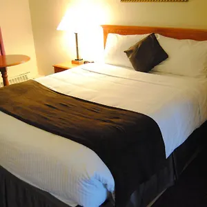 Economy Edmonton